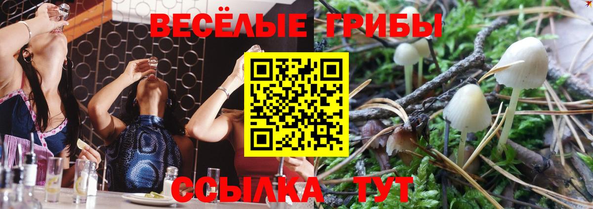 Белореченск  продажа наркотиков  Вход с VPN  Галлюциногенные грибы прущие грибы  Галлюциногенные грибы Psilocybe 