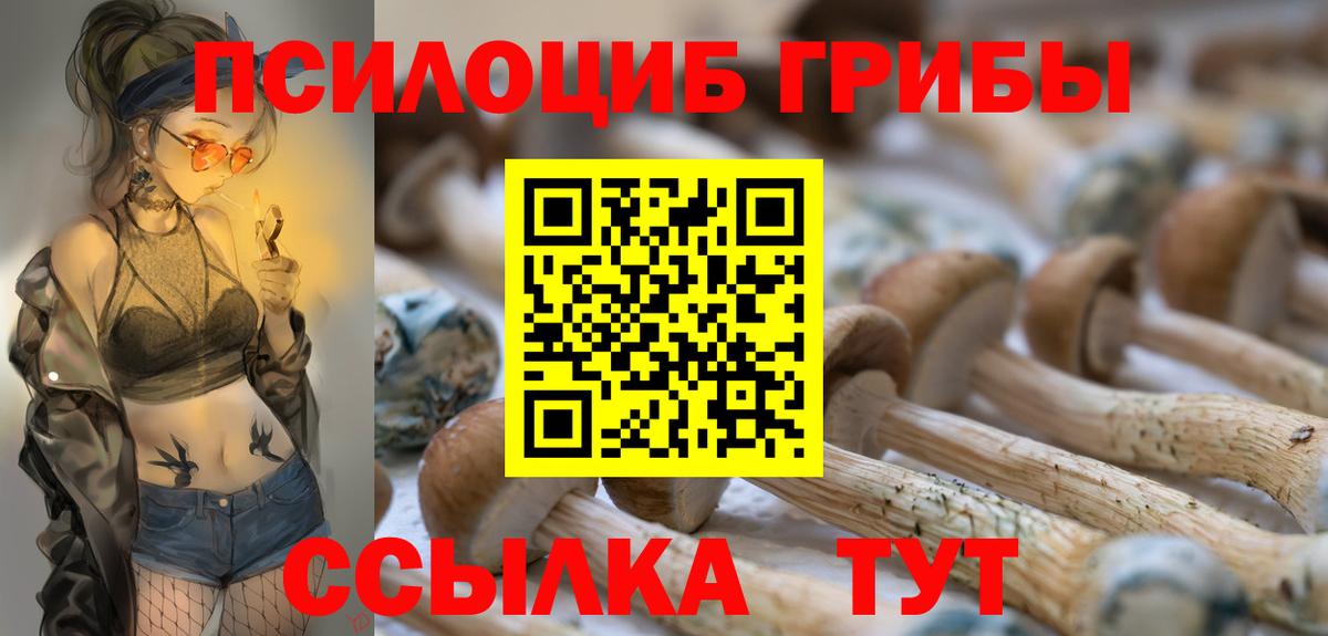 Псилоцибиновые грибы мицелий Белореченск